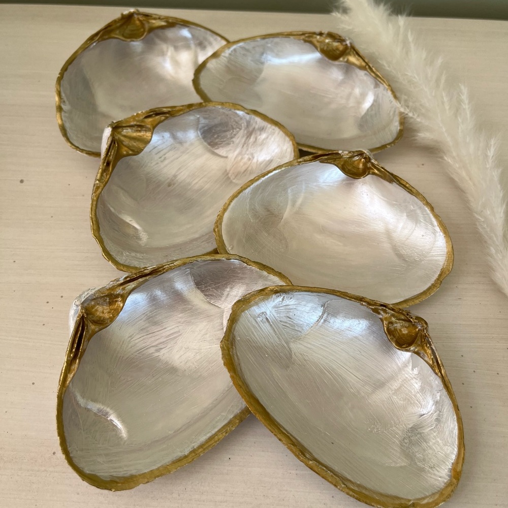 🌻6-Gorgeous pearl painted and gold trimmed shells